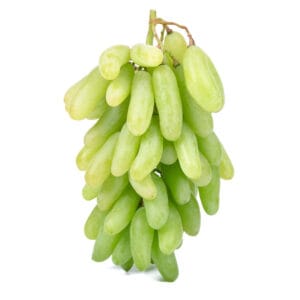 গ্রীন লং (সবুজ লম্বা)