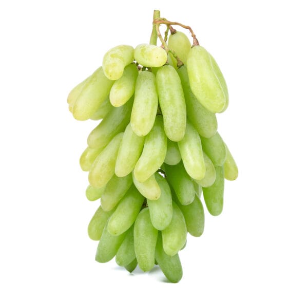 গ্রীন লং (সবুজ লম্বা)