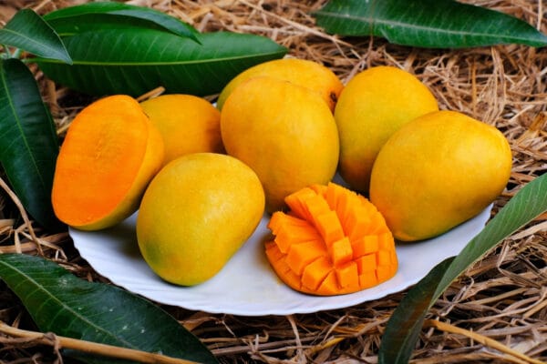 হিমসাগর আম/Himsagar Mango - ২৫ কেজি