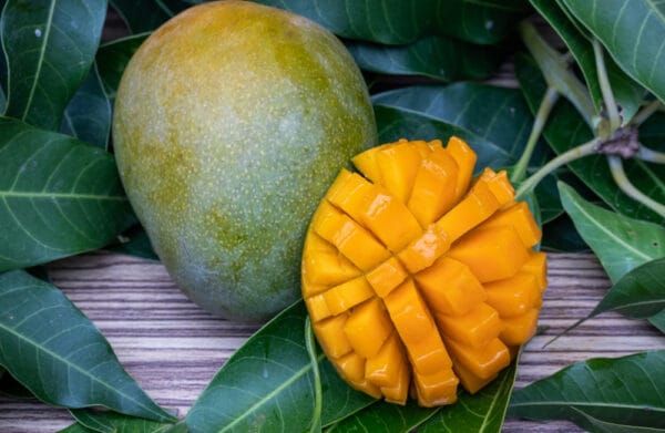 হিমসাগর আম/Himsagar Mango - ১০ কেজি
