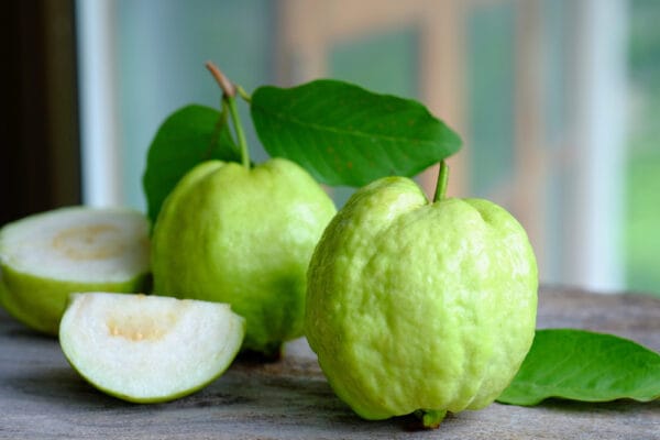 থাই পেয়েরা