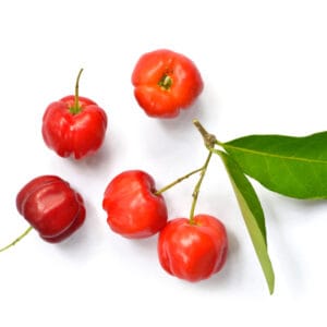 বার্বাডোস চেরি (ছোট)