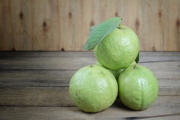 পলি পেয়ারা
