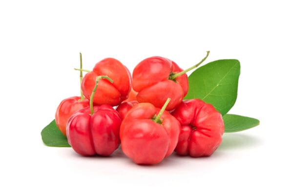 বার্বাডোস চেরি(মাঝারী)