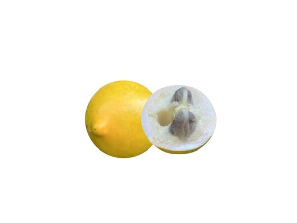 এবিও=