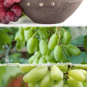 রিলাইন্স ( লাল গোল )+বাইকুনুর (লাল লম্বা)+সবুজ মিষ্টি