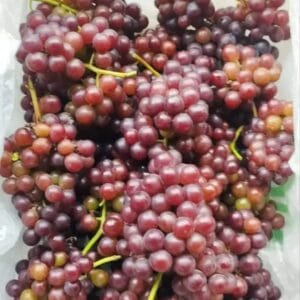 রিলায়েন্স